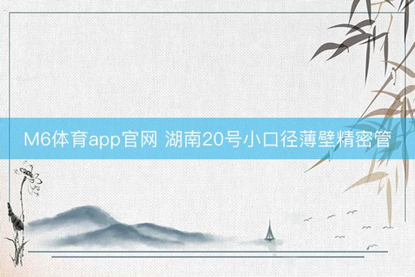 M6体育app官网 湖南20号小口径薄壁精密管