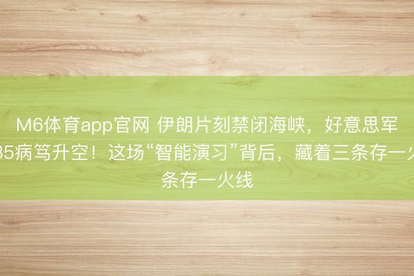 M6体育app官网 伊朗片刻禁闭海峡,好意思军F-35病笃升空!这场“智能演习”背后,藏着三条存一火线