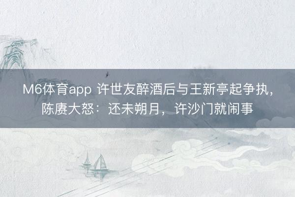 M6体育app 许世友醉酒后与王新亭起争执，陈赓大怒：还未朔月，许沙门就闹事